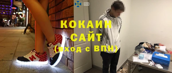 прущие грибы Алексеевка