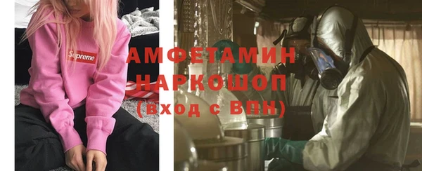 мет Алексин
