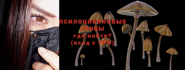 мет Алексин
