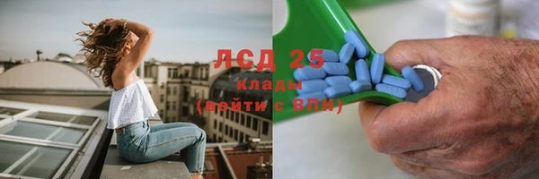 стаф Алзамай