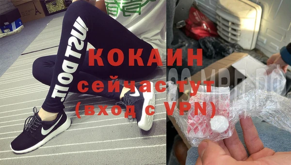 стаф Алзамай