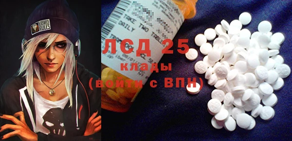 стаф Алзамай