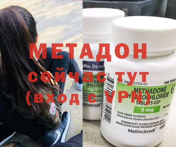 стаф Алзамай